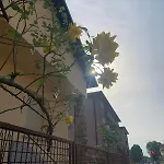 Casa Natasha