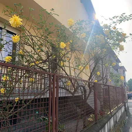 Casa Natasha Vendégház