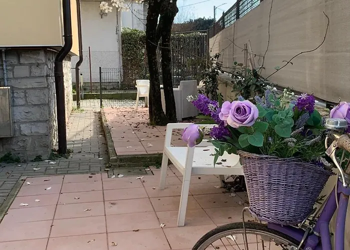 Casa Natasha Πανσιόν Όπως